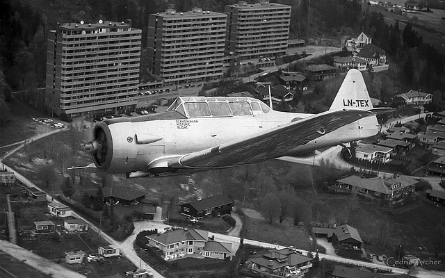 飞 北美T6哈佛大学 德克萨斯 - 上的免费照片