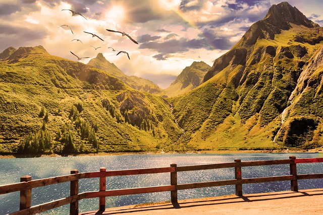 全景 针 自然 - 上的免费照片