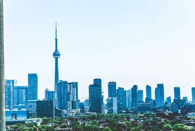 多伦多 城市 Cntower - 上的免费照片