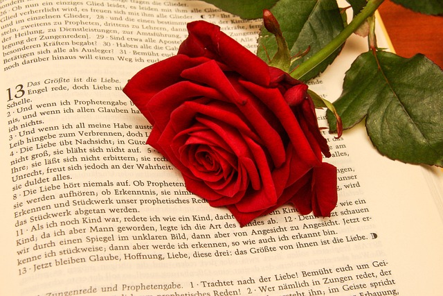 玫瑰 圣经 》 婚礼 - 上的免费照片