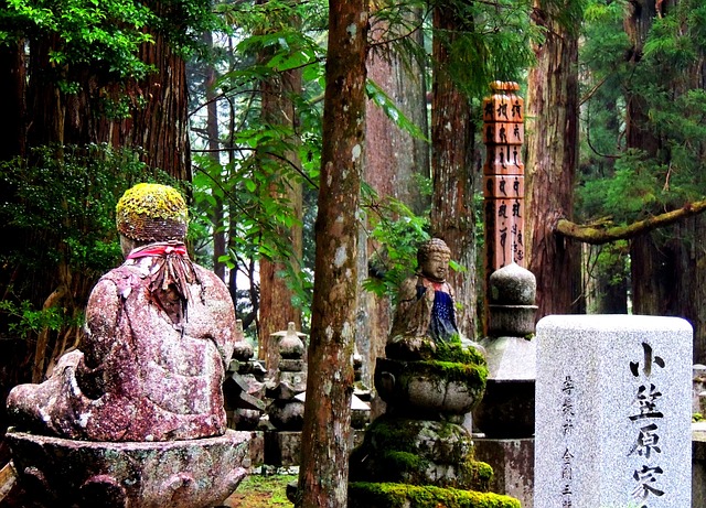 高野山 日本 佛教 - 上的免费照片