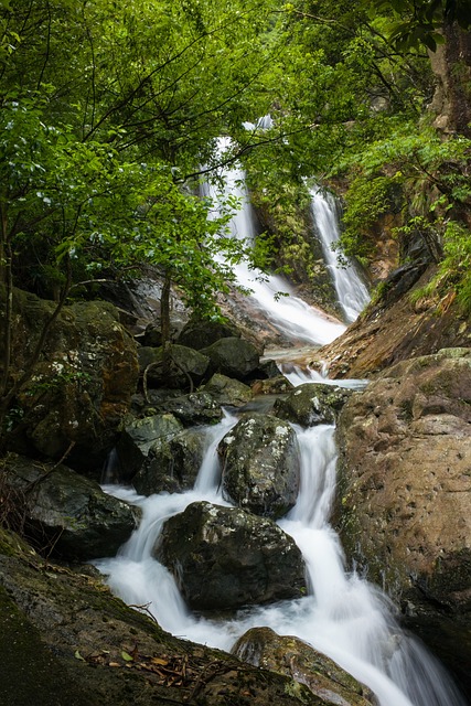 自然 风景 山泉 - 上的免费照片