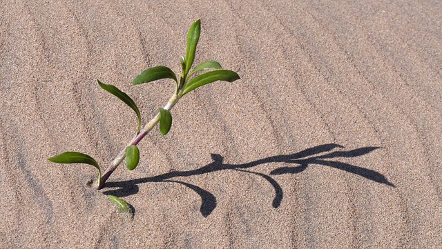 阴凉处 结构体 砂纹 - 上的免费照片