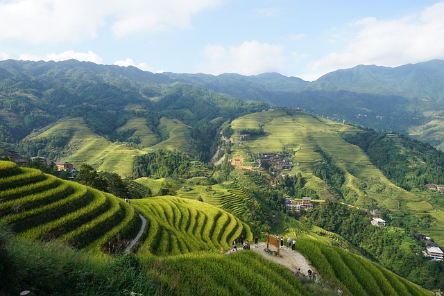 Terraced Fields Longji 龙脊 - 上的免费照片