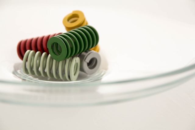 Tortiglioni 菜 力学 - 上的免费照片