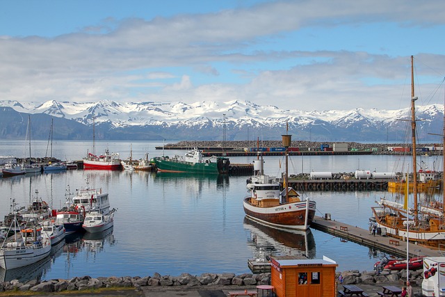 Husavik 冰岛 港口 - 上的免费照片