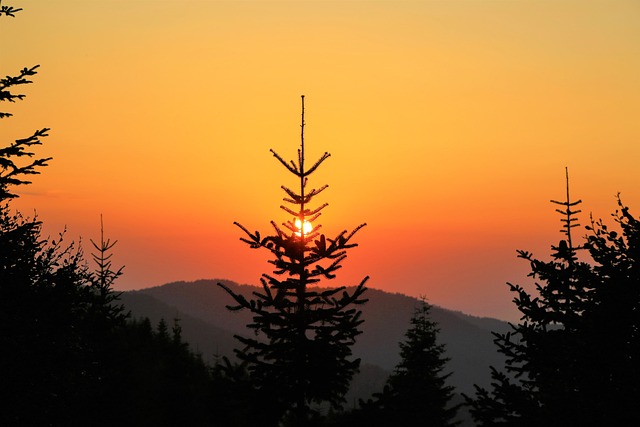 日落 太阳 天空 - 上的免费照片