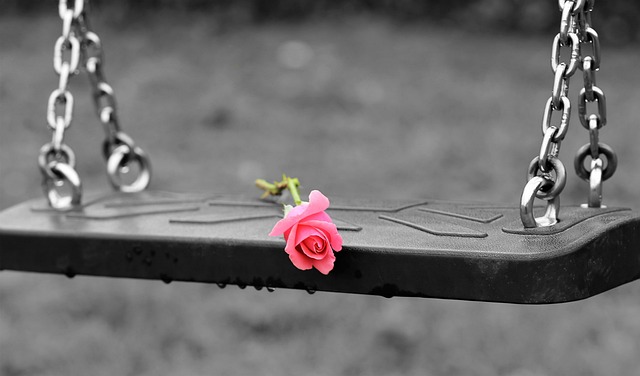 粉红玫瑰 空荡秋千 阻止儿童自杀 - 上的免费照片