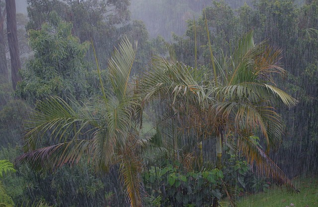 雨 雨量 风暴 - 上的免费照片