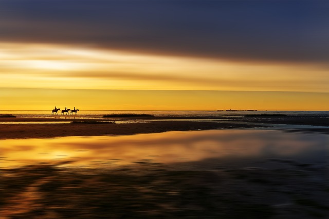 海滩 骑马 日落 - 上的免费照片