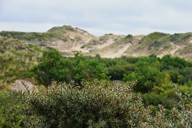 海 海滩 斯特拉海滩 Hauts De - 上的免费照片