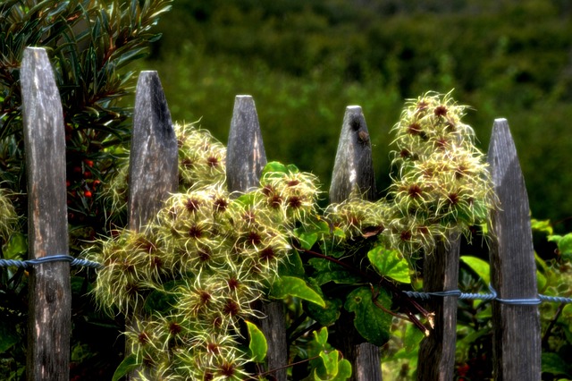 海 海滩 斯特拉海滩 Hauts De - 上的免费照片