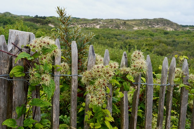 海 海滩 斯特拉海滩 Hauts De - 上的免费照片