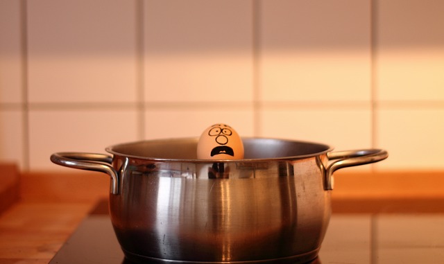 蛋 厨师 帮助 - 上的免费照片