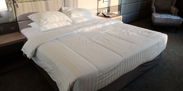 Sleep Hotel Tired - 上的免费照片