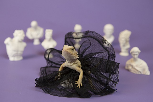 Art Reptiles - 上的免费照片