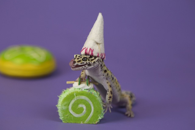 Cake Reptiles Colour - 上的免费照片