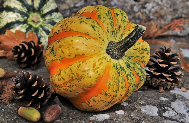 秋天 南瓜 锥体 - 上的免费照片