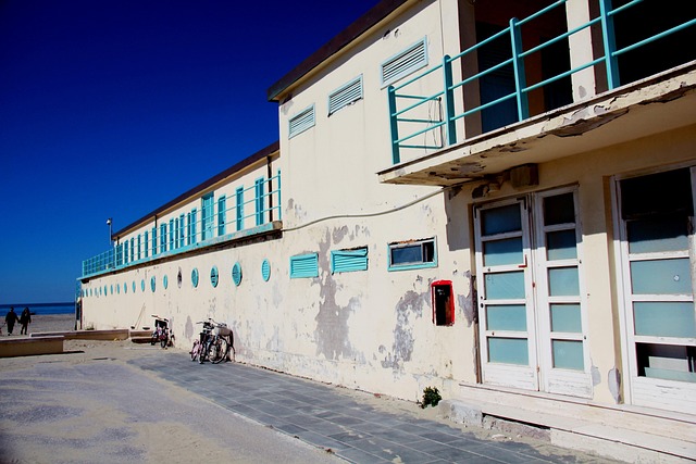 维亚雷焦 狂欢 海 - 上的免费照片