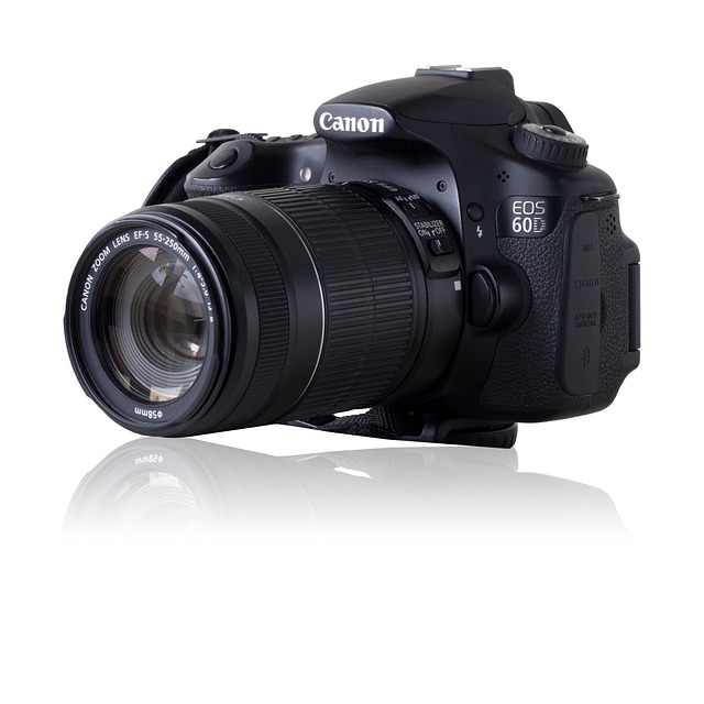 选择60D Ef-S55-250 相机 - 上的免费照片