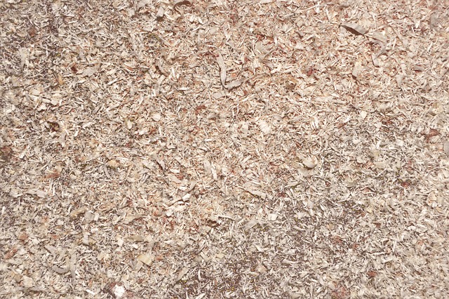 木片 木屑 木头 - 上的免费照片