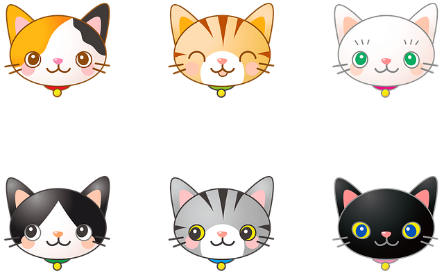 猫头 猫 基蒂 - 上的免费图片