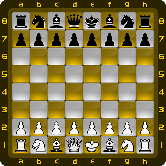 棋 木板 打乒乓球 - 免费矢量图形