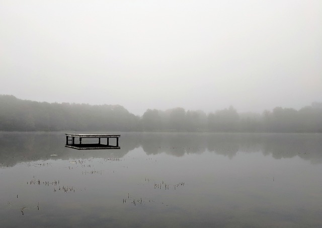 水 多雾路段 湖 - 上的免费照片