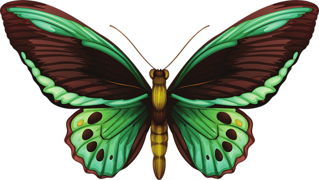 蝴蝶 绿色 实际的 - 上的免费图片
