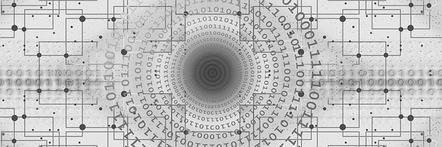 卷筒纸 网络 编程 - 上的免费图片