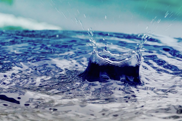 雨桶 水 滴 - 上的免费照片