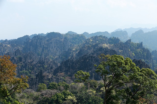 老挝 Limestone Forest 风景 - 上的免费照片