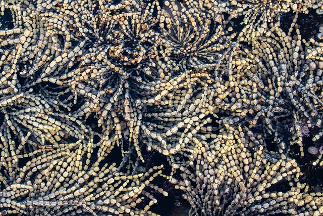 岩池 质地 水 - 上的免费照片