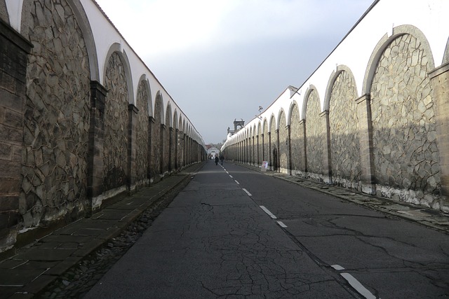 城堡 Schlossweg 在增加 - 上的免费照片