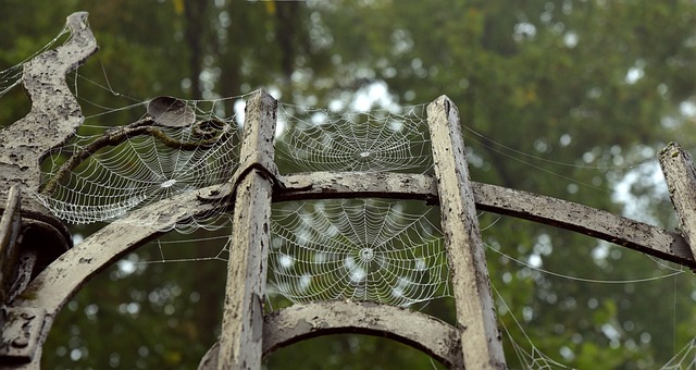 金属 金属栅极 蜘蛛网 - 上的免费照片