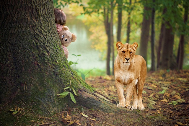 孩子 隐藏 更深 - 上的免费照片