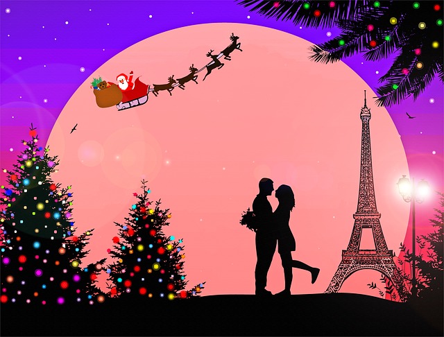 法国巴黎的圣诞节 埃菲尔铁塔 圣诞节 - 上的免费图片