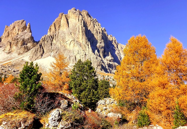 落下 白云岩 景观 - 上的免费照片