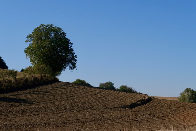 场地 落下 收获 - 上的免费照片