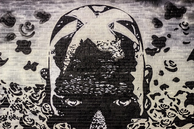 涂鸦 街头艺术 壁画 - 上的免费照片