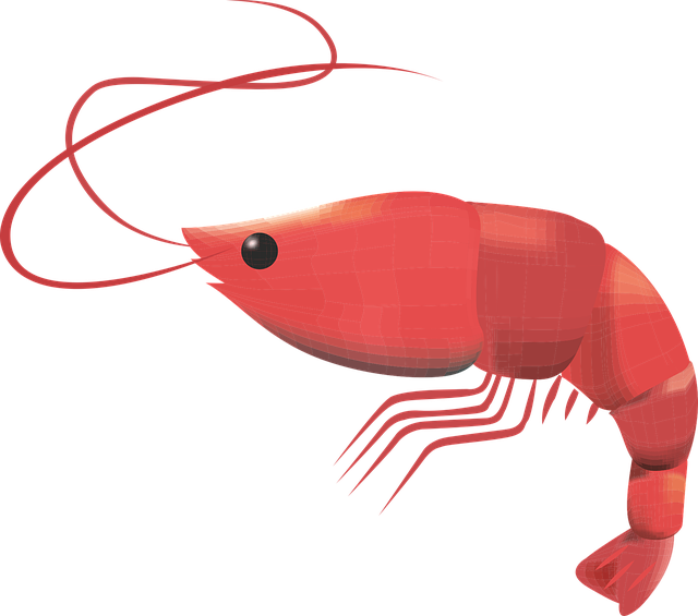 虾 甲壳类 海鲜 - 免费矢量图形