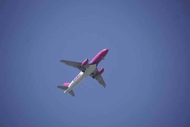 这架飞机 天空 Wizzair - 上的免费照片