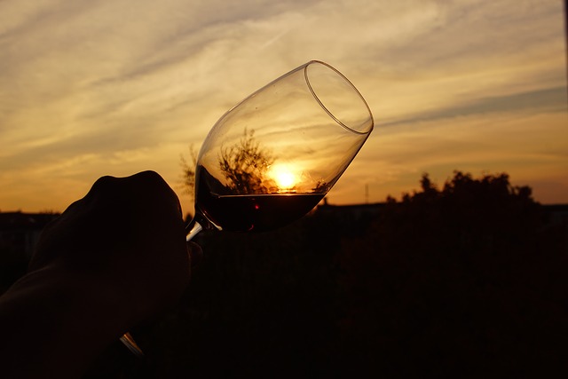 红酒 酒精 一杯 - 上的免费照片