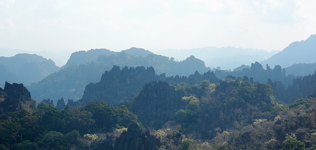 老挝 Limestone Forest 石林 - 上的免费照片