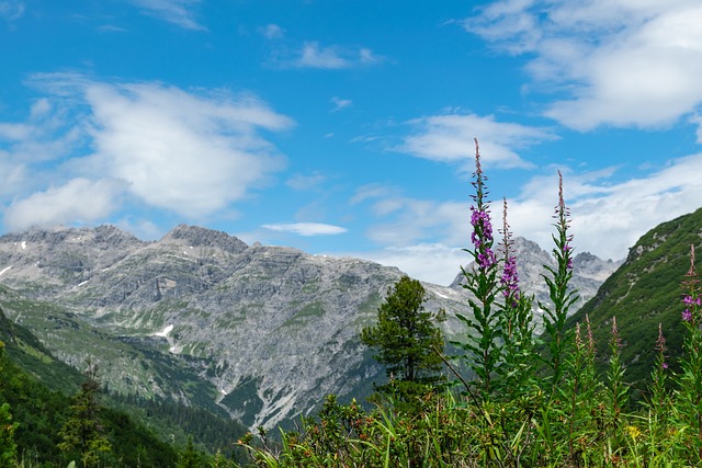 莱克 莱克塔尔 阿尔卑斯山 - 上的免费照片