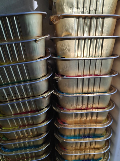 猫食 此 维 - 上的免费照片