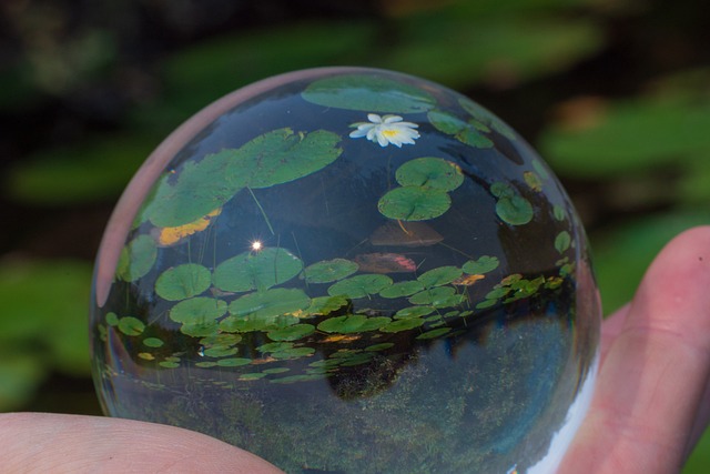 Lensball 户外的 自然 - 上的免费照片