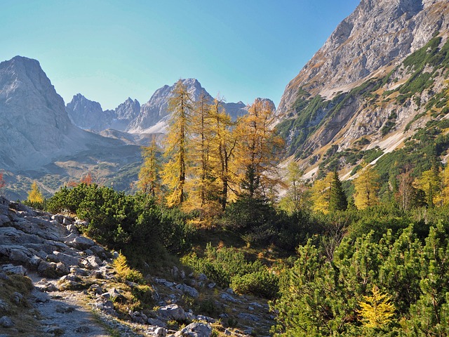 自然 景观 落下 - 上的免费照片