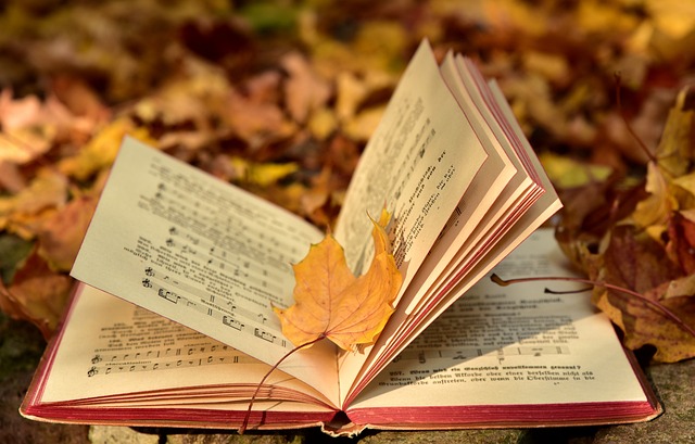一本书 落下 叶子 - 上的免费照片