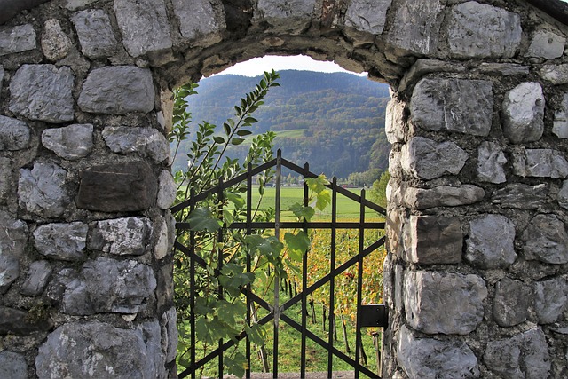 墙 石头 葡萄园 - 上的免费照片